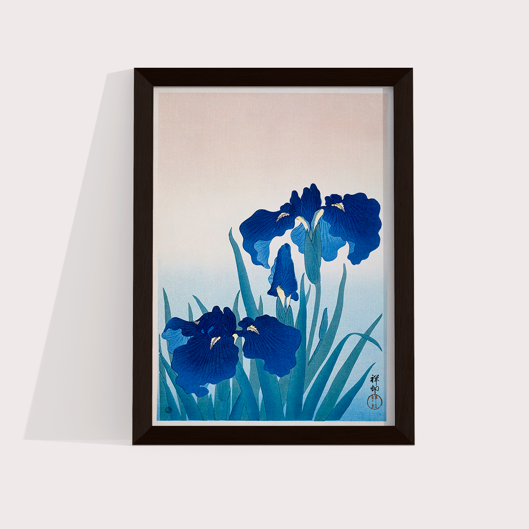Iris Flowers por Ohara Koson