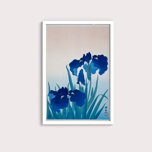 Iris Flowers por Ohara Koson