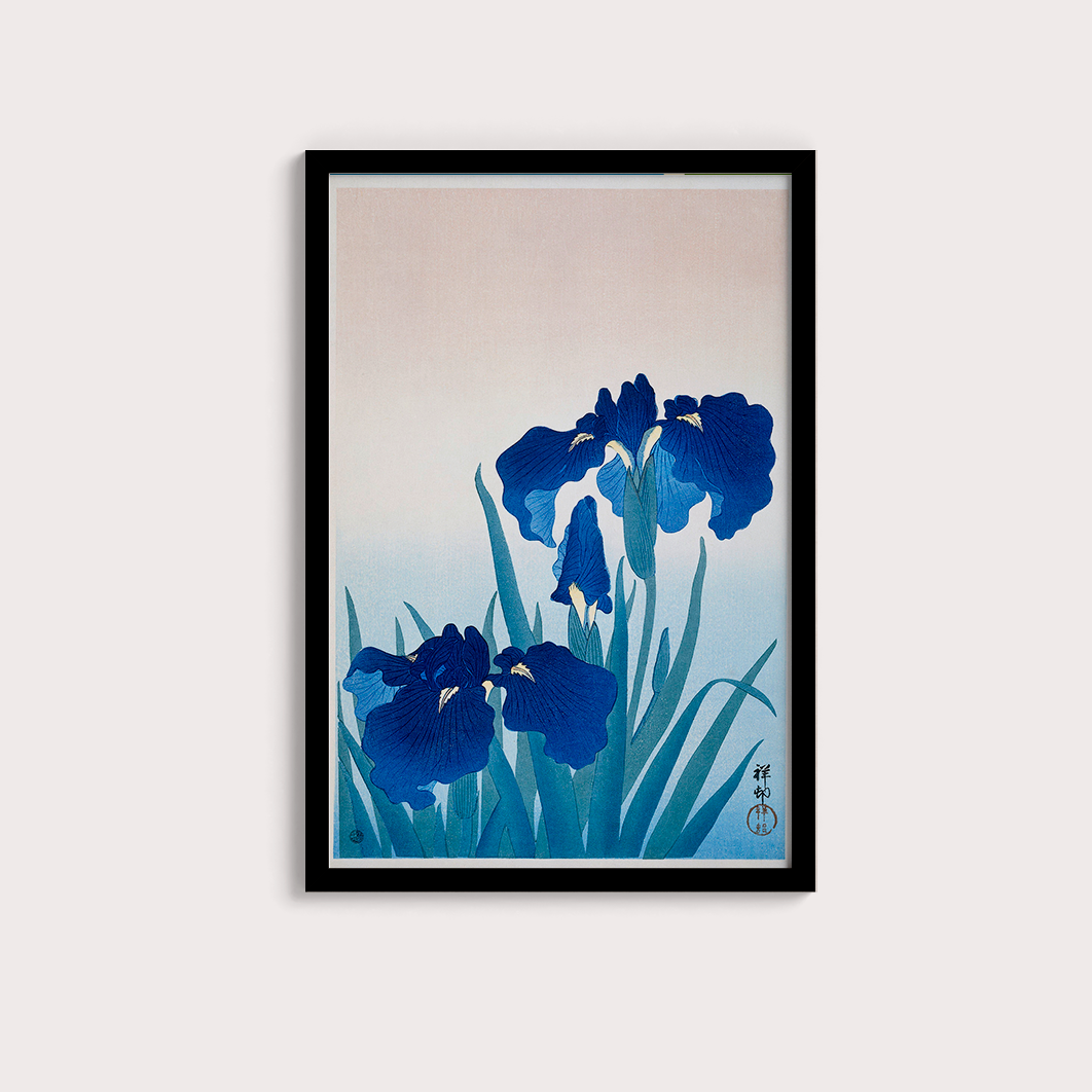 Iris Flowers por Ohara Koson