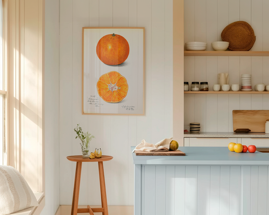 Laranja Vintage - LARTESTUDIO