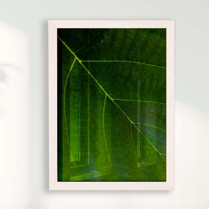 Quadro Leaf por Vanessa Zago