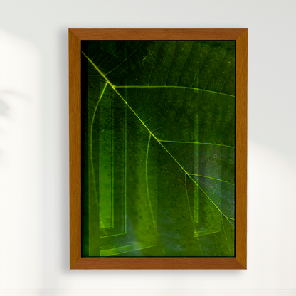 Quadro Leaf por Vanessa Zago