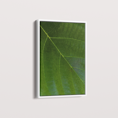 Quadro Leaf por Vanessa Zago