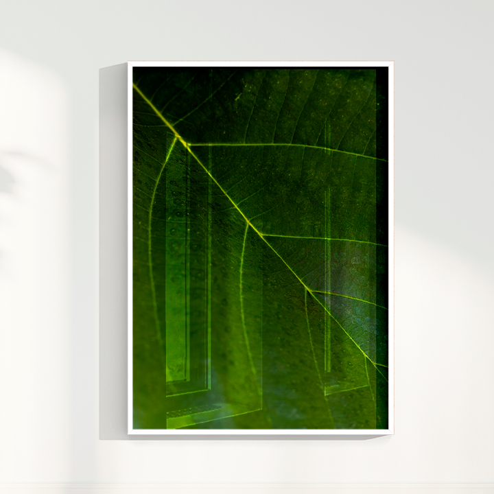 Quadro Leaf por Vanessa Zago