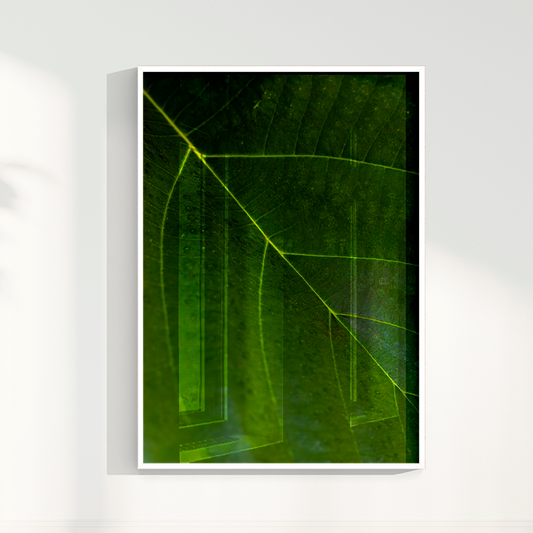 Quadro Leaf por Vanessa Zago