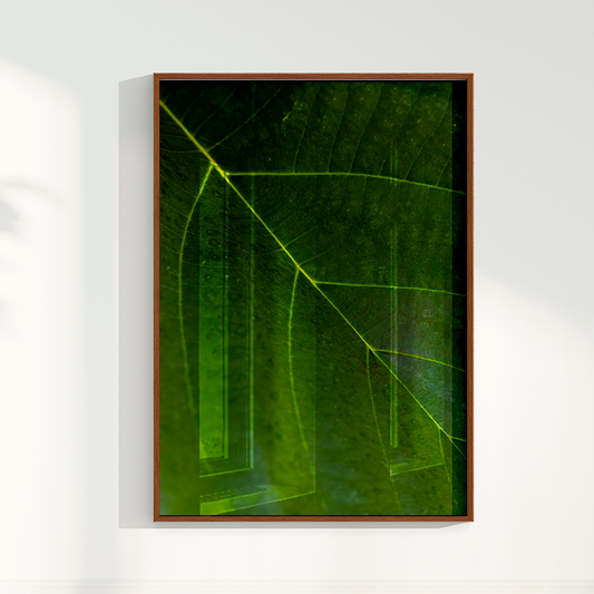 Quadro Leaf por Vanessa Zago