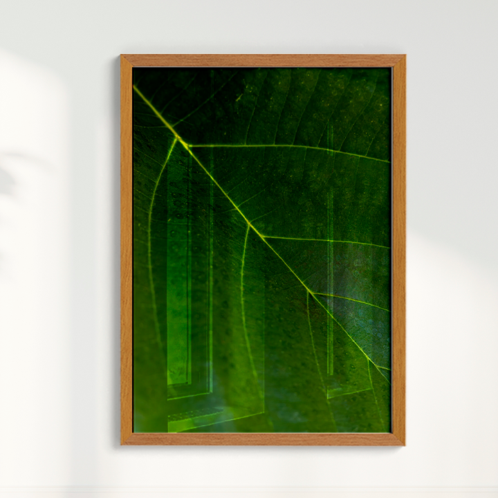 Quadro Leaf por Vanessa Zago
