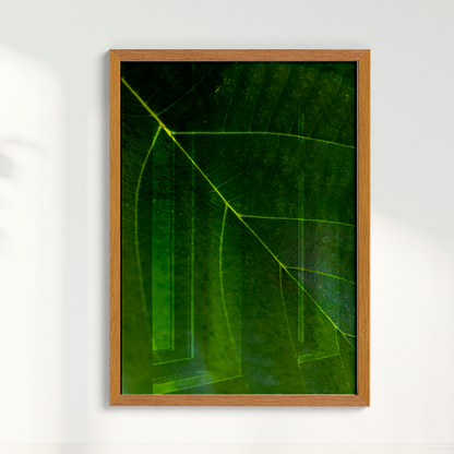 Quadro Leaf por Vanessa Zago