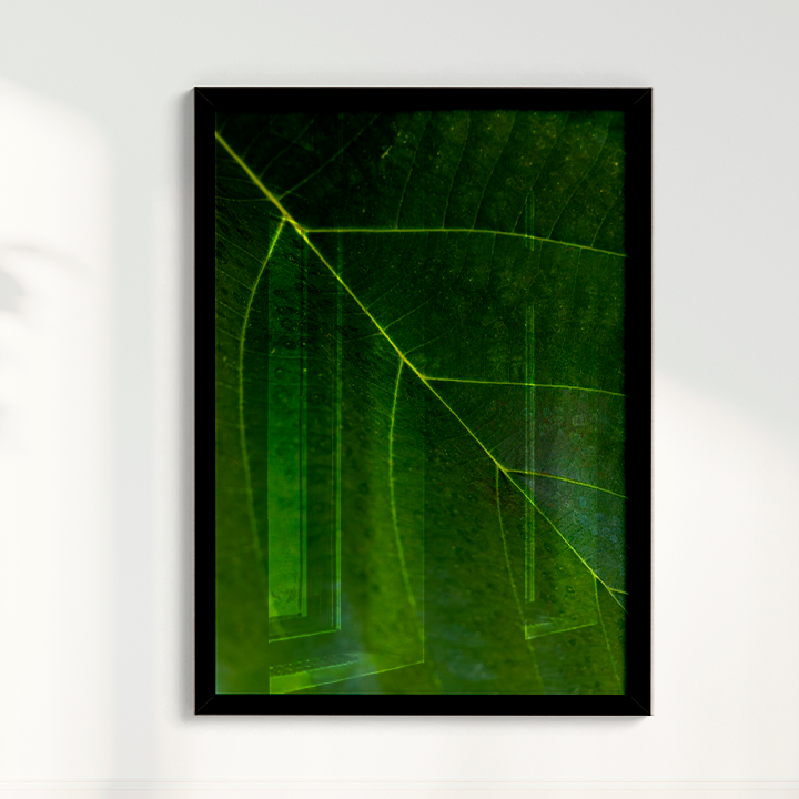 Quadro Leaf por Vanessa Zago
