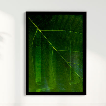 Quadro Leaf por Vanessa Zago