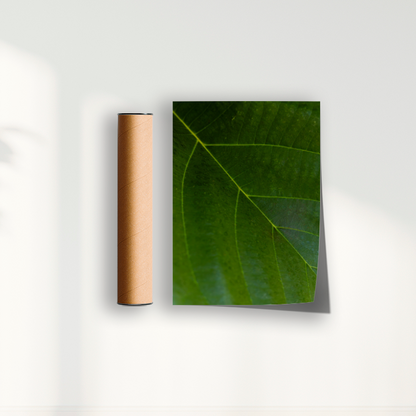 Quadro Leaf por Vanessa Zago