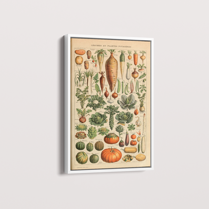 Quadro Vegetables