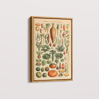 Quadro Vegetables