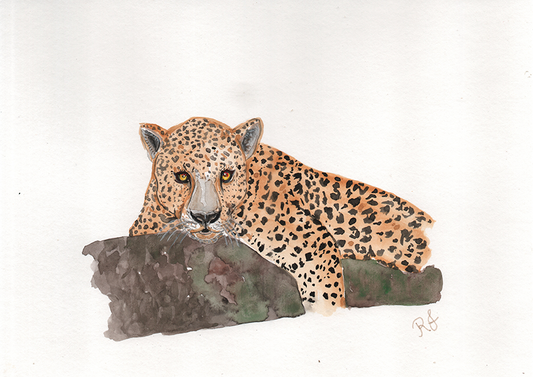 Quadro Onça 2 por Rayana Karoline