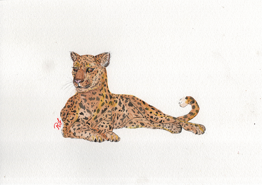 Quadro Onça 4 por Rayana Karoline
