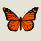 Borboleta Laranja