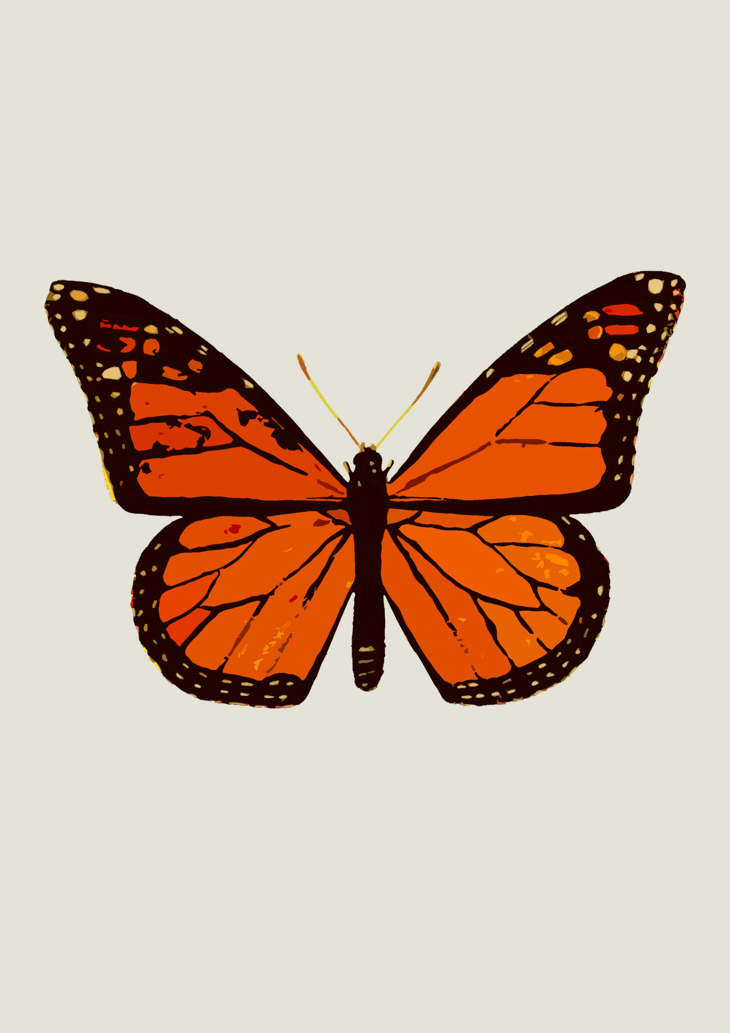 Borboleta Laranja
