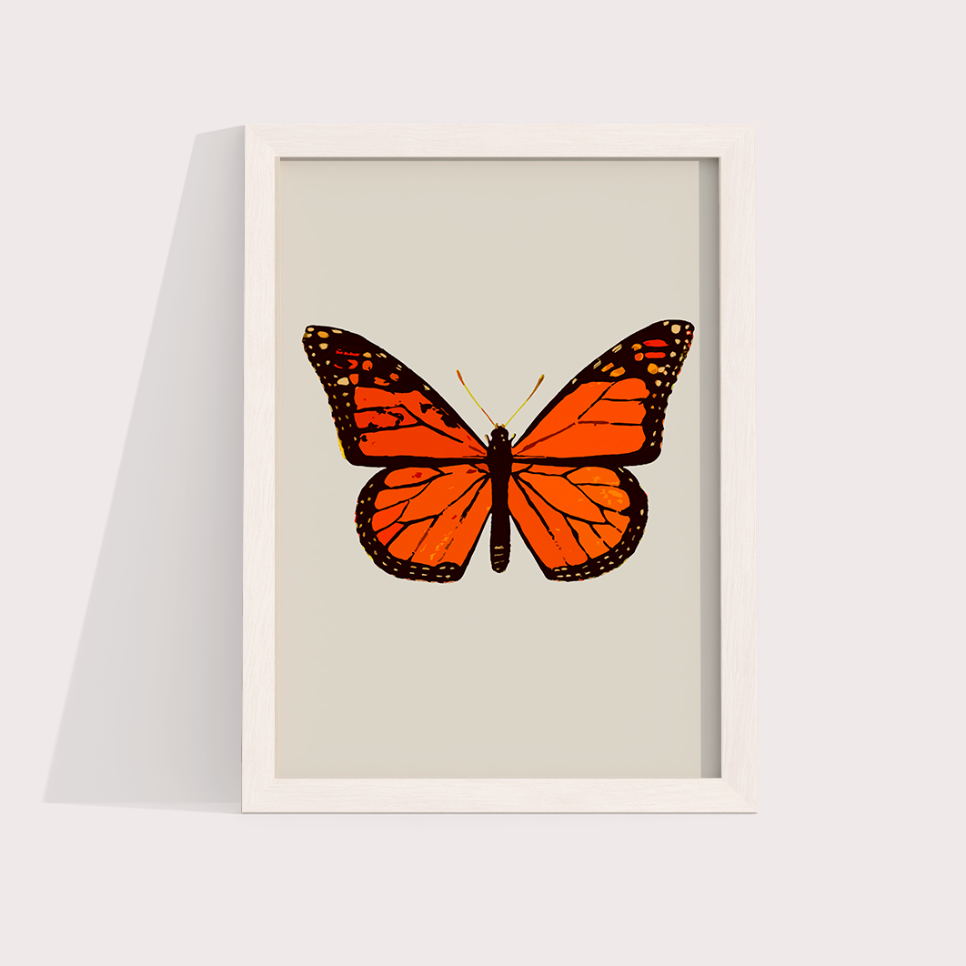 Borboleta Laranja