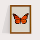 Borboleta Laranja