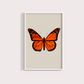 Borboleta Laranja