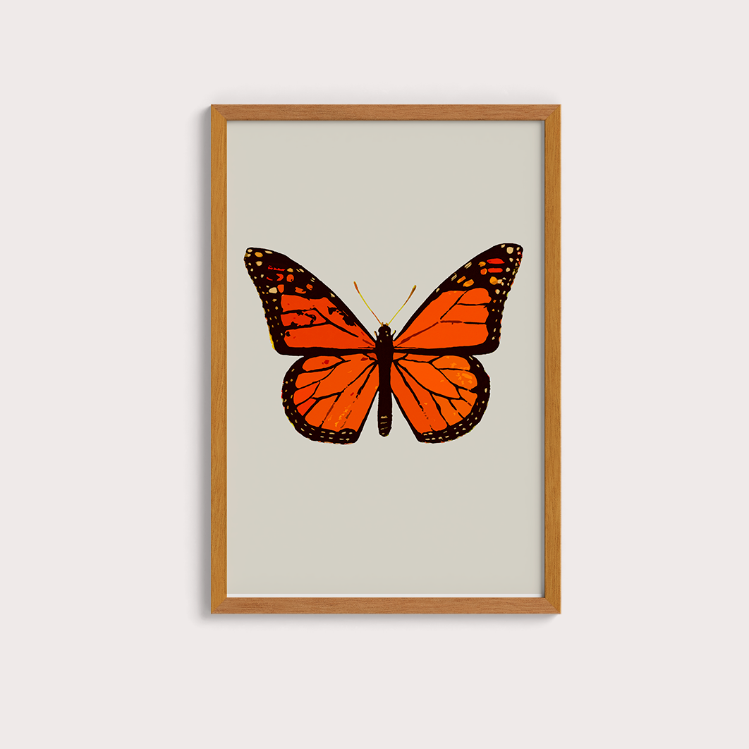 Borboleta Laranja