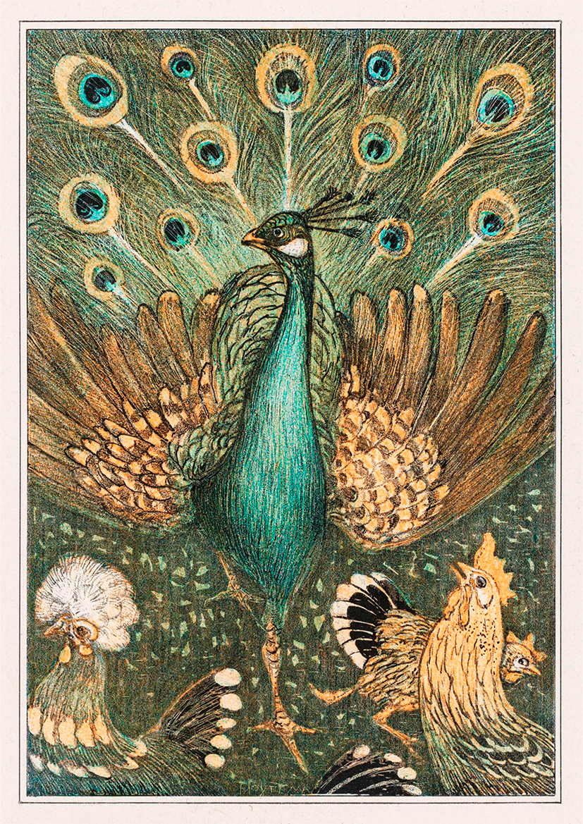Quadro Pavão vintage