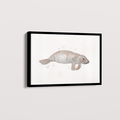 Quadro Peixe boi por Rayana Karoline