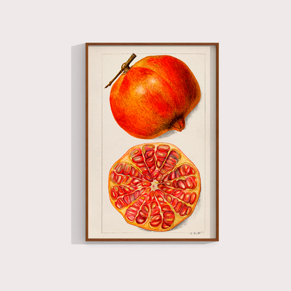 Romã Vintage - LARTESTUDIO