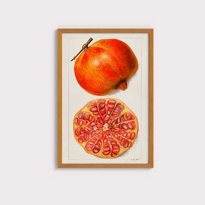 Romã Vintage - LARTESTUDIO