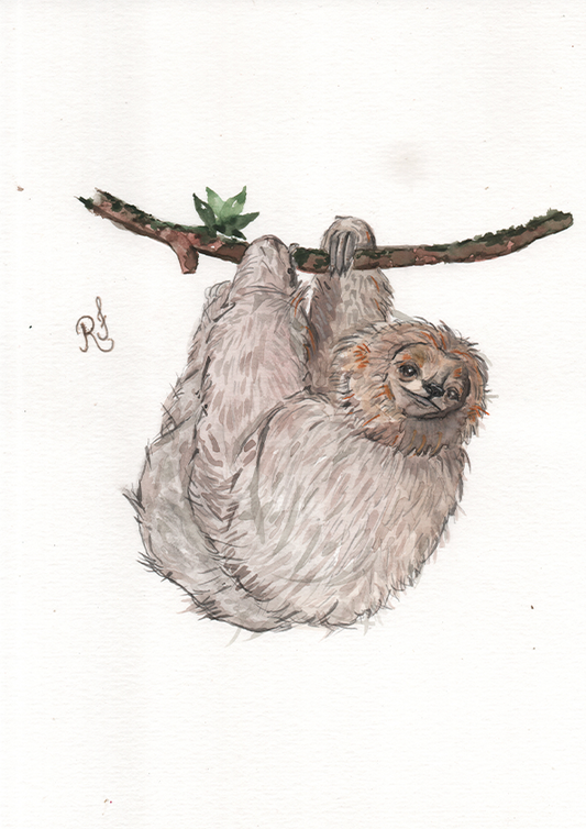 Quadro Bicho Preguiça por Rayana Karoline