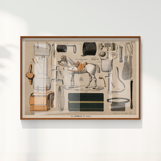 Quadro Antigos Equipamentos de equitação