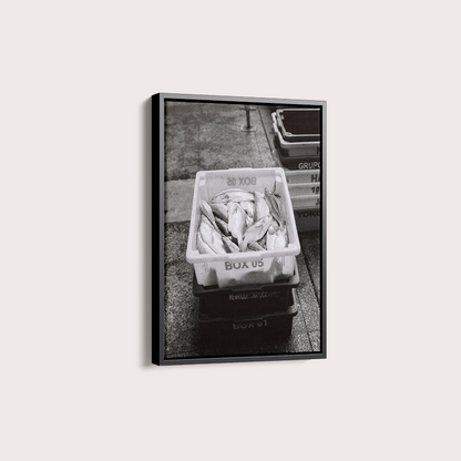 Quadro Box 05 por Angus Waddacor-McConill