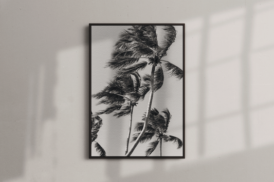 Quadro Coqueiro por Vanessa Zago