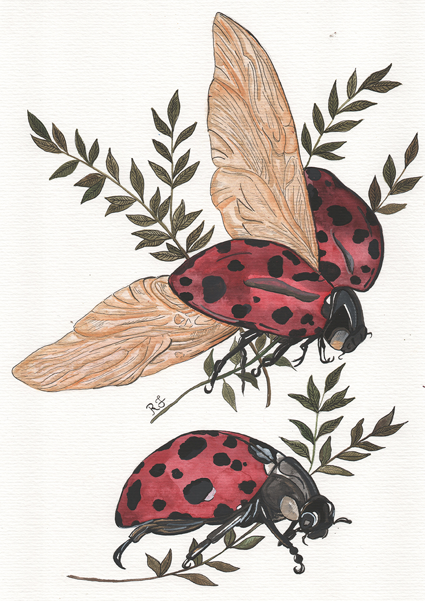 Aquarelando 12 por Rayana Karoline