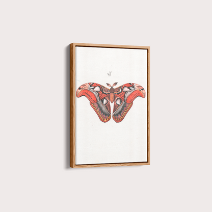 Quadro Aquarelando 3 por Rayana Karoline