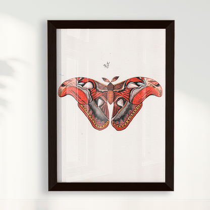 Quadro Aquarelando 3 por Rayana Karoline
