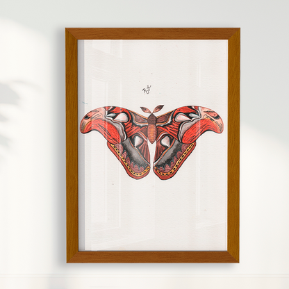Quadro Aquarelando 3 por Rayana Karoline