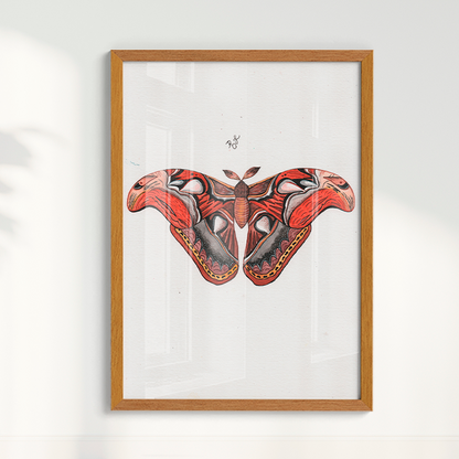 Quadro Aquarelando 3 por Rayana Karoline