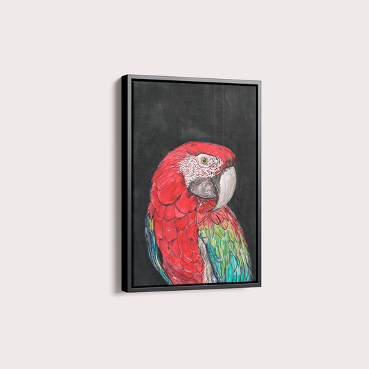 Quadro Arara por aquarelando
