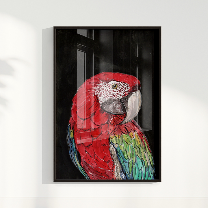 Quadro Arara por aquarelando