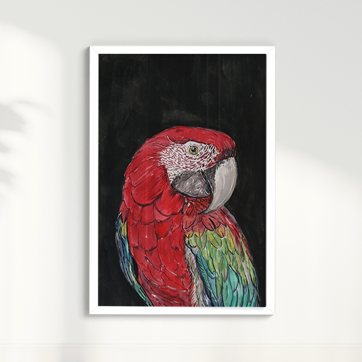 Quadro Arara por aquarelando