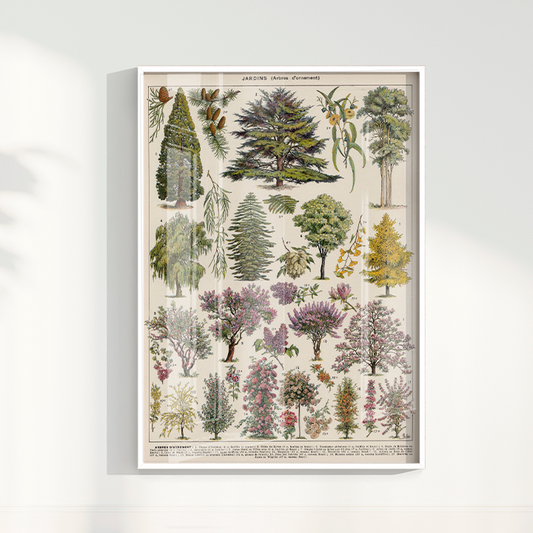 Quadro Árvores Vintage