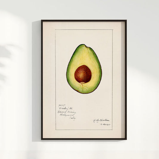 Quadro Avocado Vintage