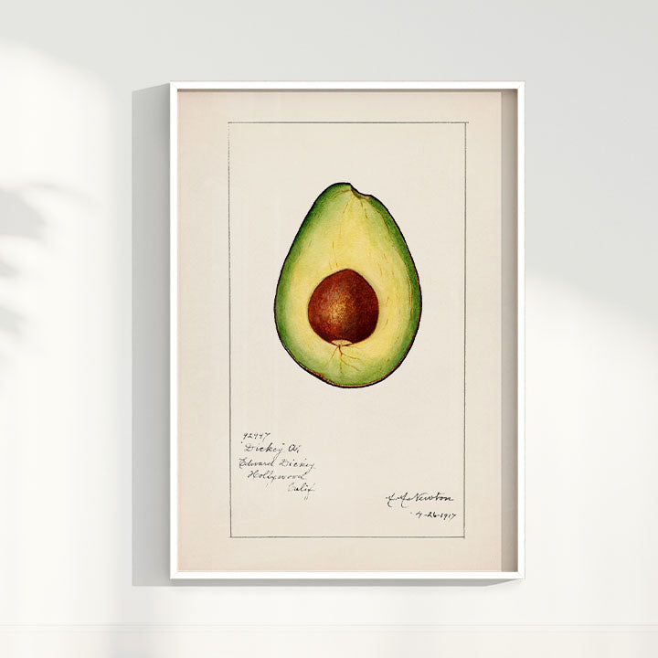 Quadro Avocado Vintage