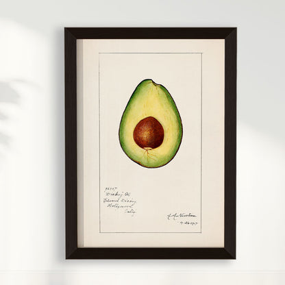Quadro Avocado Vintage