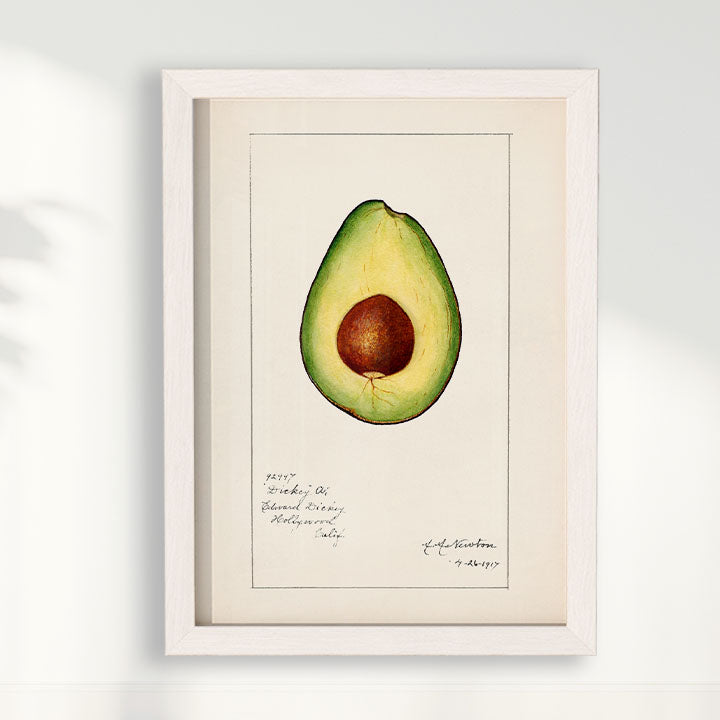 Quadro Avocado Vintage