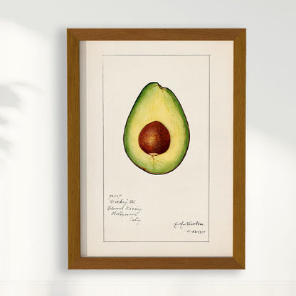 Quadro Avocado Vintage