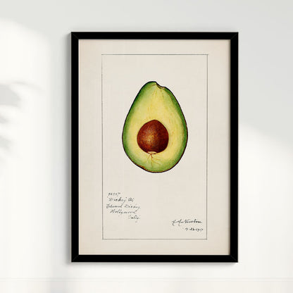 Quadro Avocado Vintage