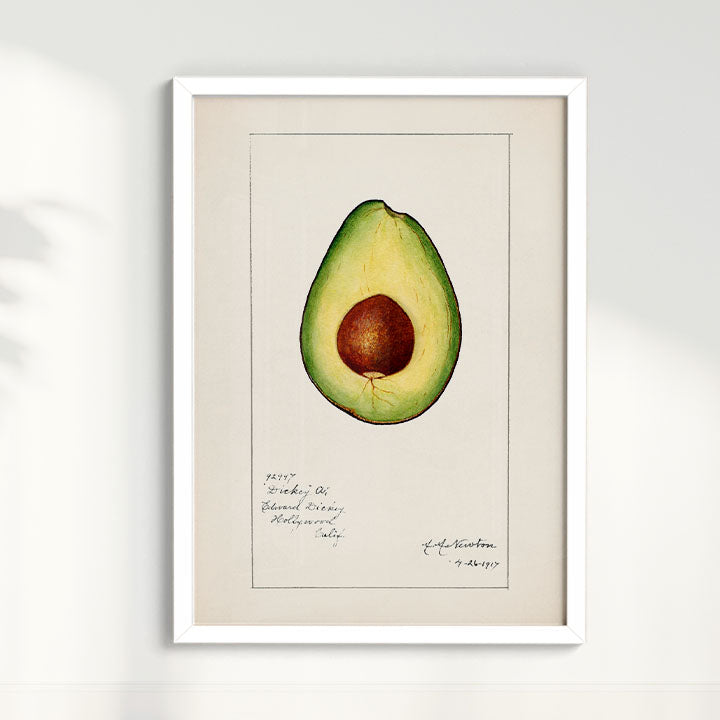 Quadro Avocado Vintage