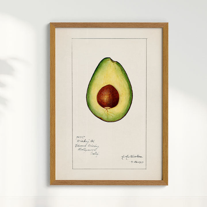 Quadro Avocado Vintage